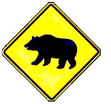bearcrossing1
