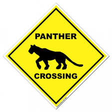 panther crossing