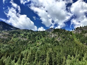 2015-06-30 12.34.28-1