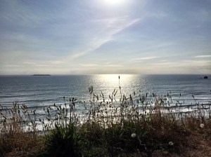 Destruction Island and lighthouse on left