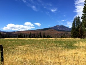 Devastation from the 2014 Eiler Fire
